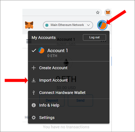 importing a json file into metamask safe